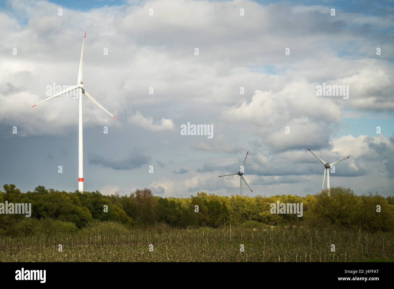 Springtime landscape: Three windmills against cloudy sky in Hamburg, Germany Stock Photo