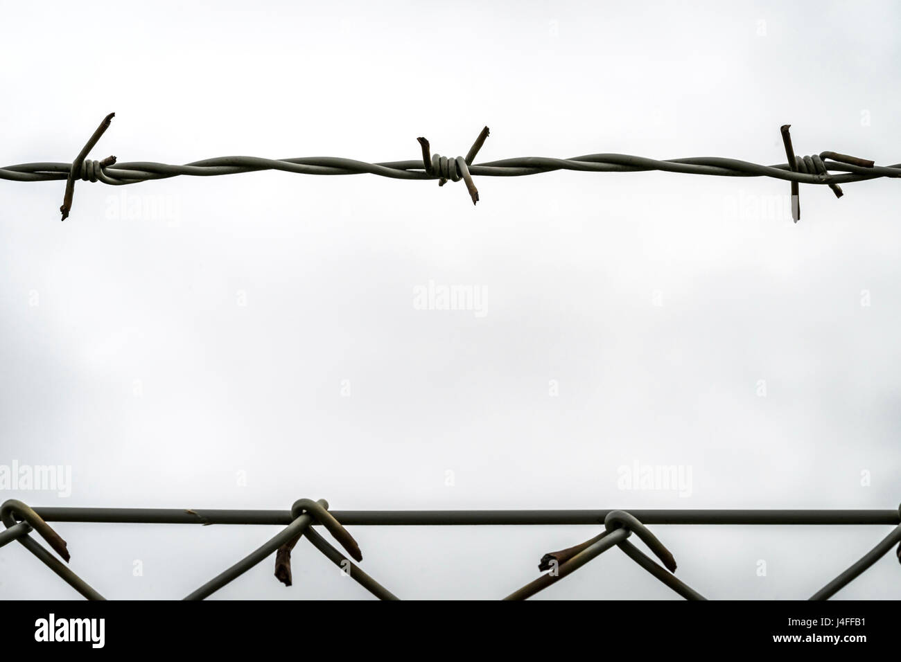 Barbed wire against nearly white background Stock Photo - Alamy