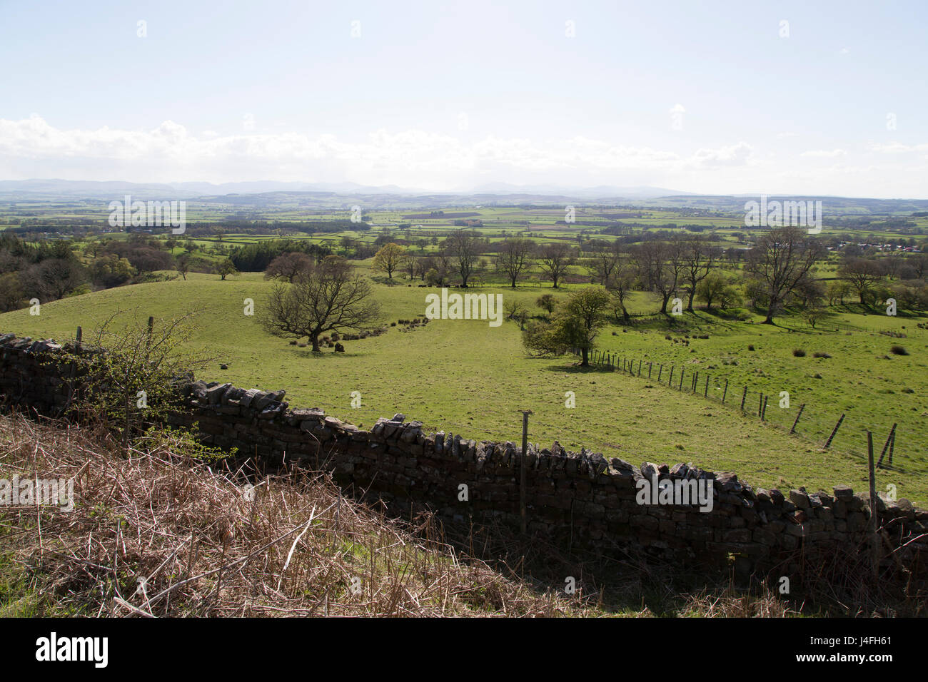 A dry stone wall runs through countryside seen from Hartside Pass in Cumbria, England. Hartside Pass rises across the Pennines into Northumberland. Stock Photo
