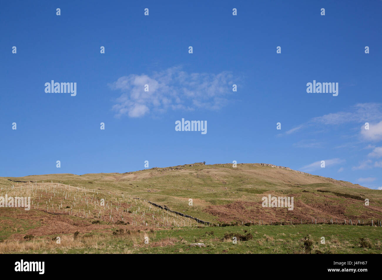 A North Pennine hillside seen from Hartside Pass in Cumbria, England. Hartside Pass rises across the Pennines into Northumberland. Stock Photo