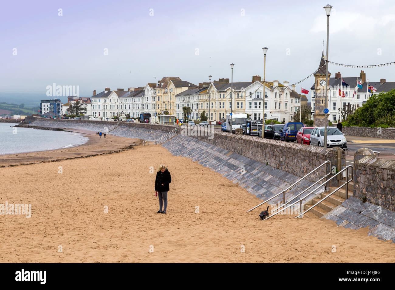 A beach at Exmouth which allows dogs access throughout every day of the year. Stock Photo