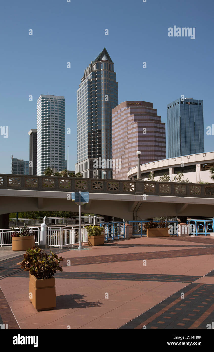 The highrise buildings of downtown Tampa Florida USA and the Tampa