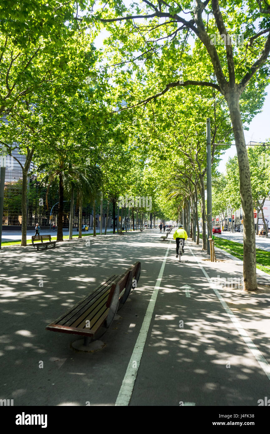 A female cyclist riding her bicycle on a bike path on the tree lined Avinguda Diagonal, Barcelona, Spain Stock Photo