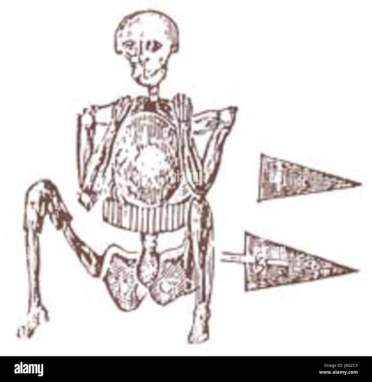 Skeleton in armor Stock Photo Alamy