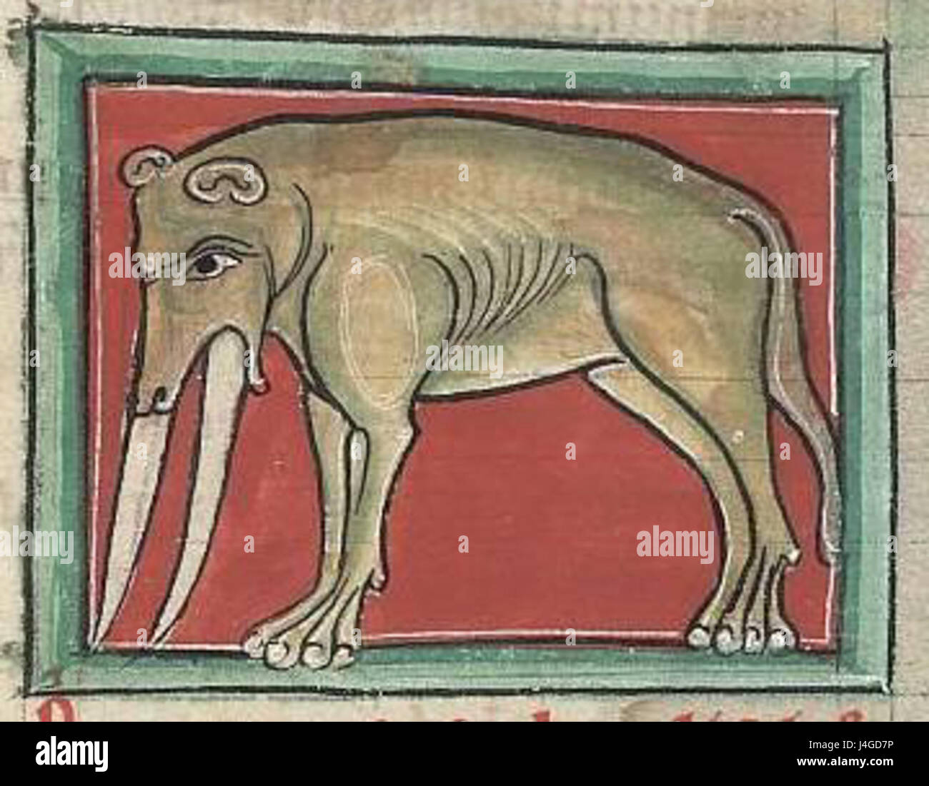 Промежуточный хозяин печеночного сосальщика. Животные в живописи презентация. Как называется картина на которой изображены животные. Моррис хиршфилд. Единорог в средневековой миниатюре.