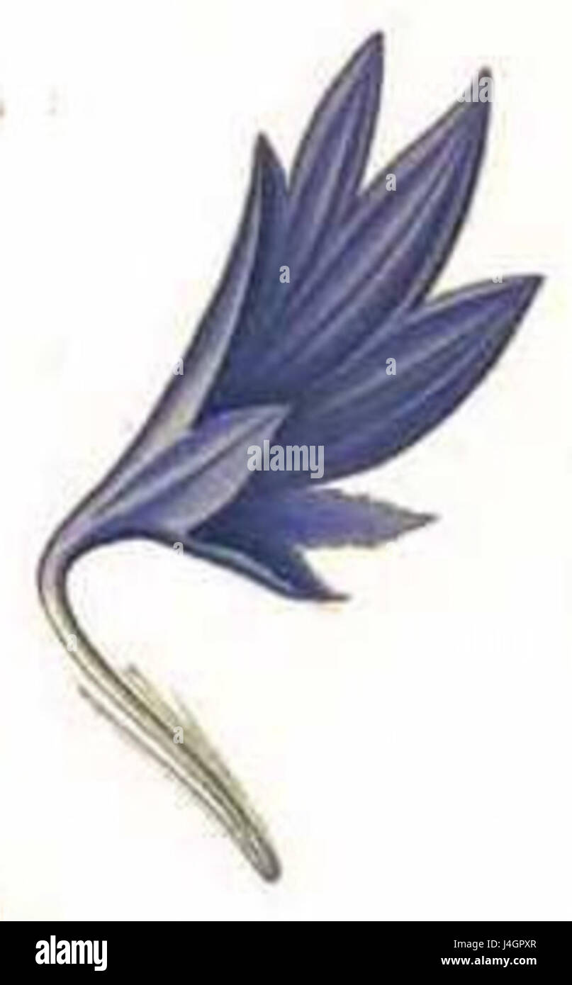 A sterile flower refers to a flower that does not produce seeds due to ...