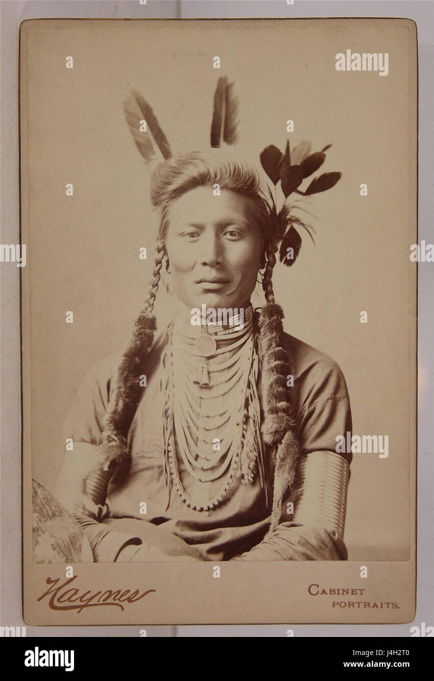 Scout Yellow Dog by Frank Jay Haynes, c1883 Stock Photo Alamy