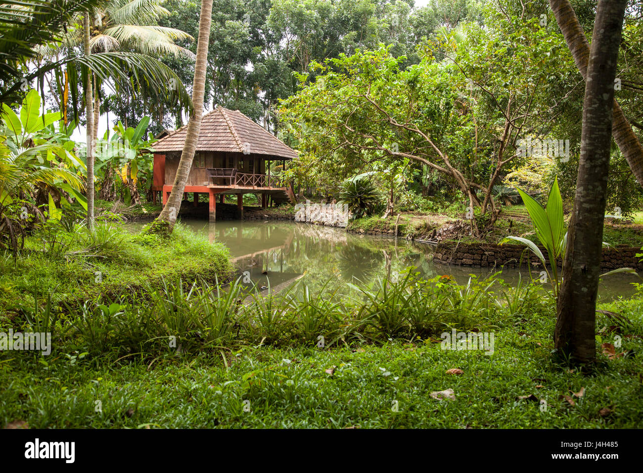 Alleppey also known as Alappuzha in Kerala, India is a gorgeous ...