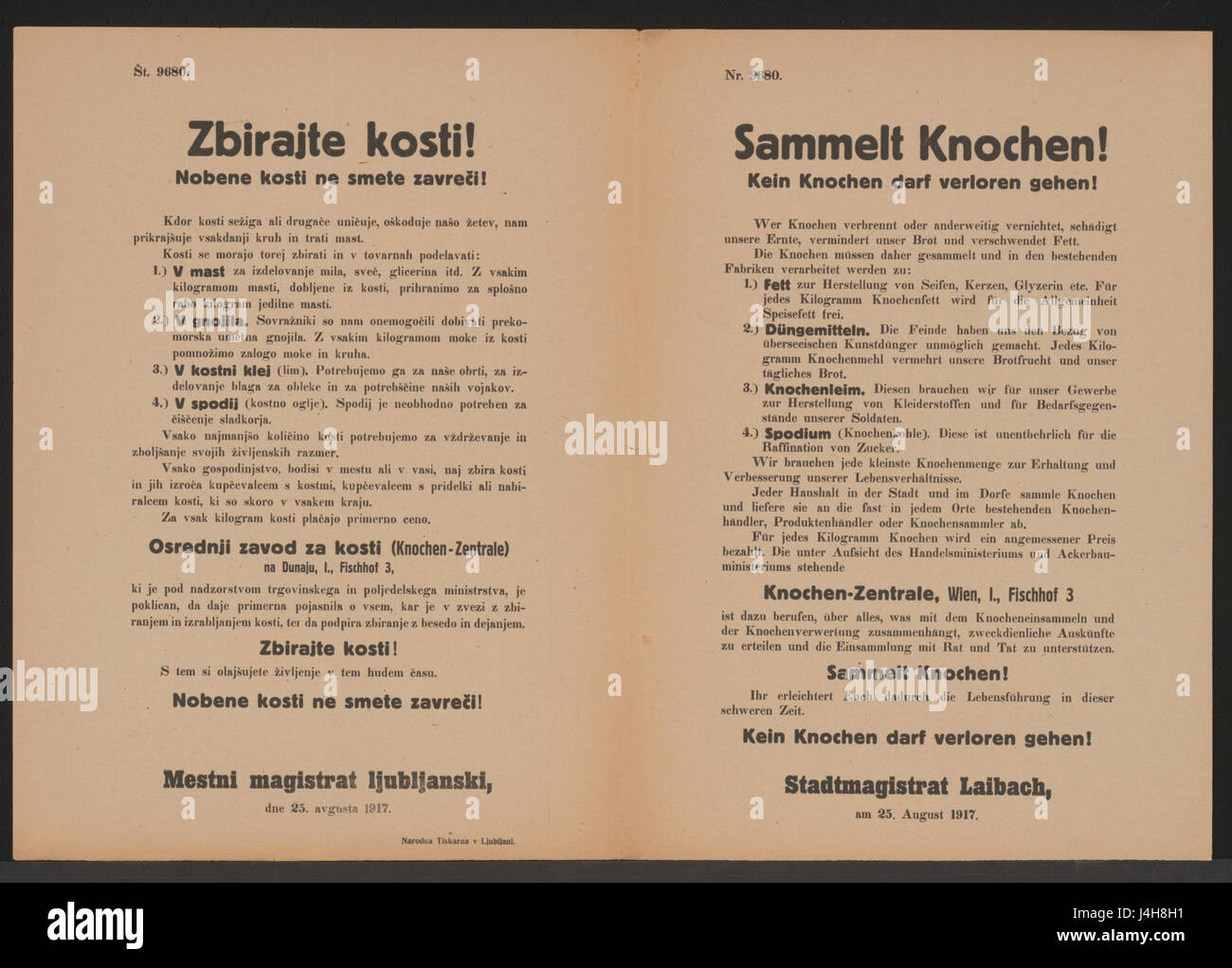 Sammelt Knochen!   Kein Knochen darf verloren gehen!   Laibach   Mehrsprachiges Plakat 1917 Stock Photo