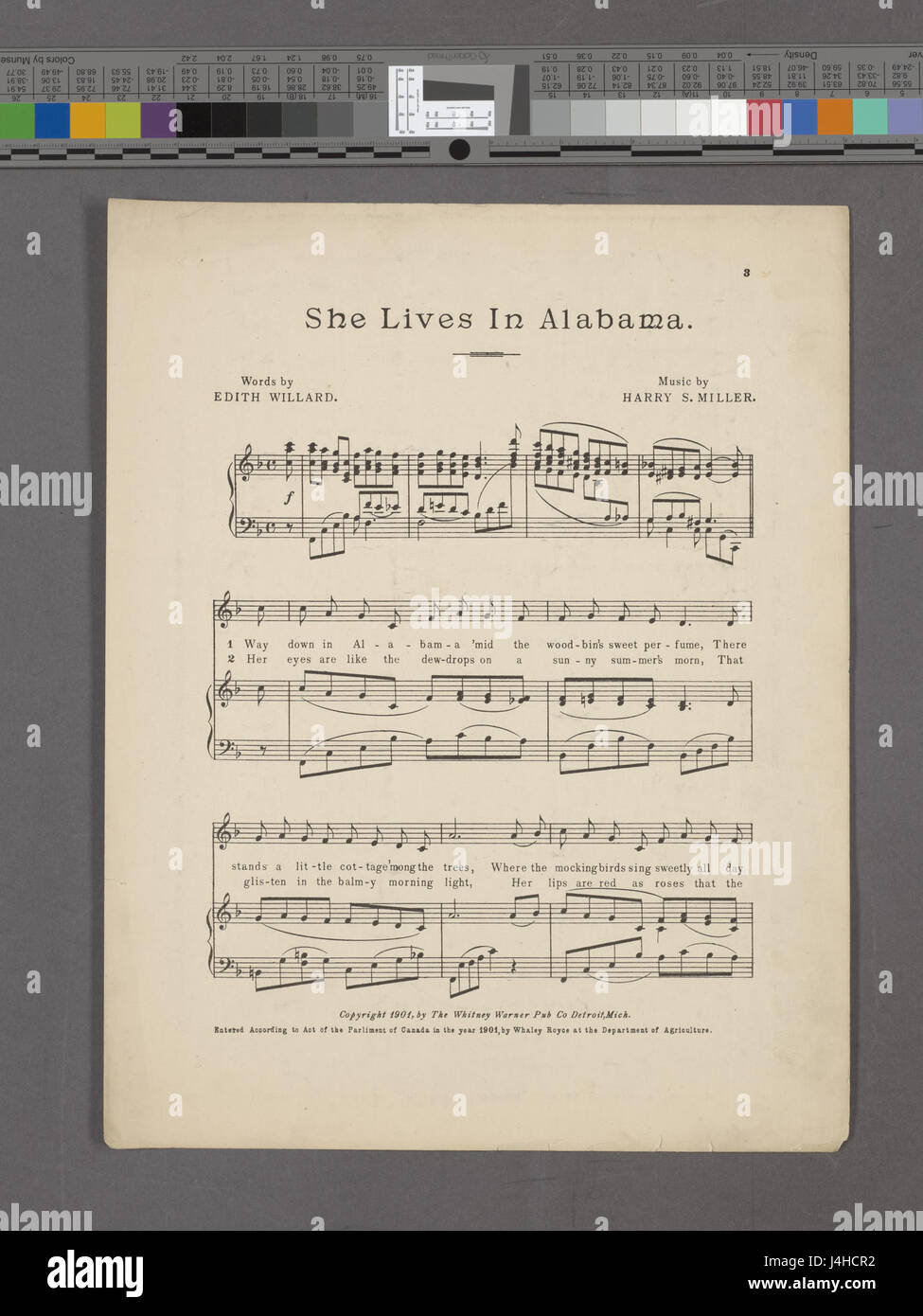 'She lives in Alabama' refers to a work available at the New York Public Library, capturing elements of life and experiences in Alabama. It provides a historical or literary perspective on the state and its culture, likely focused on personal or societal narratives. Stock Photo