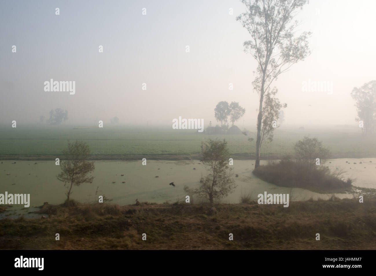 Rural countryside in Ludhiana, India. Stock Photo