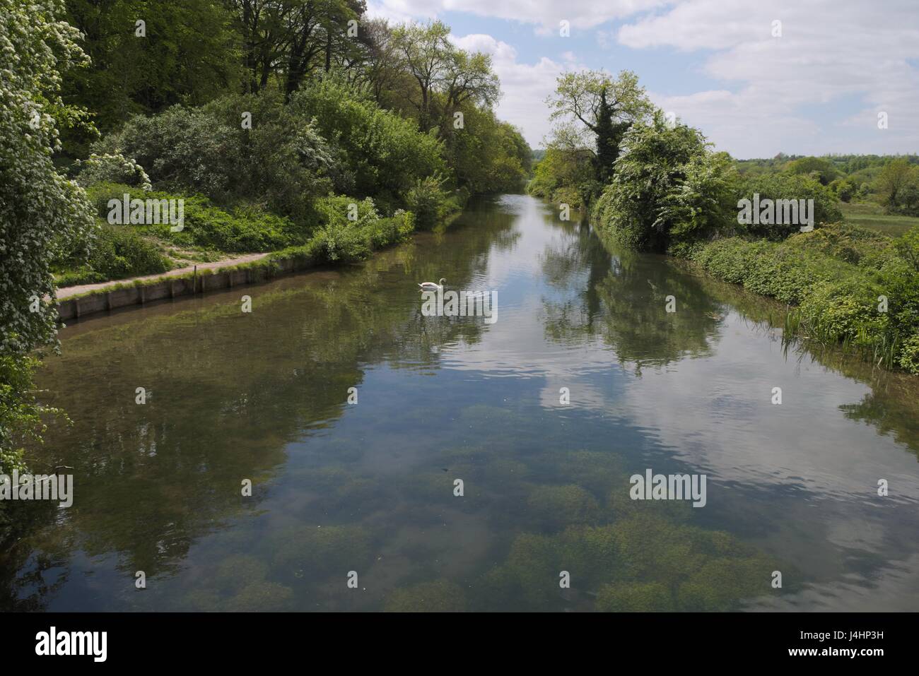 Winchester Canal.  This part of the Itchen river will take you right into Winchester city.  It's no longer used for barges but is a nature reserve. Stock Photo