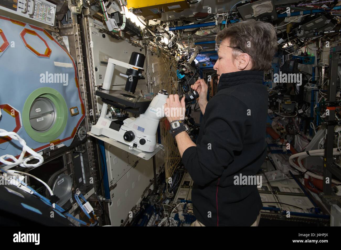 NASA International Space Station Expedition 50 prime crew member astronaut Peggy Whitson uses a microscope in the ISS U.S. Destiny laboratory module February 21, 2017 in Earth orbit.     (photo by NASA   via Planetpix) Stock Photo