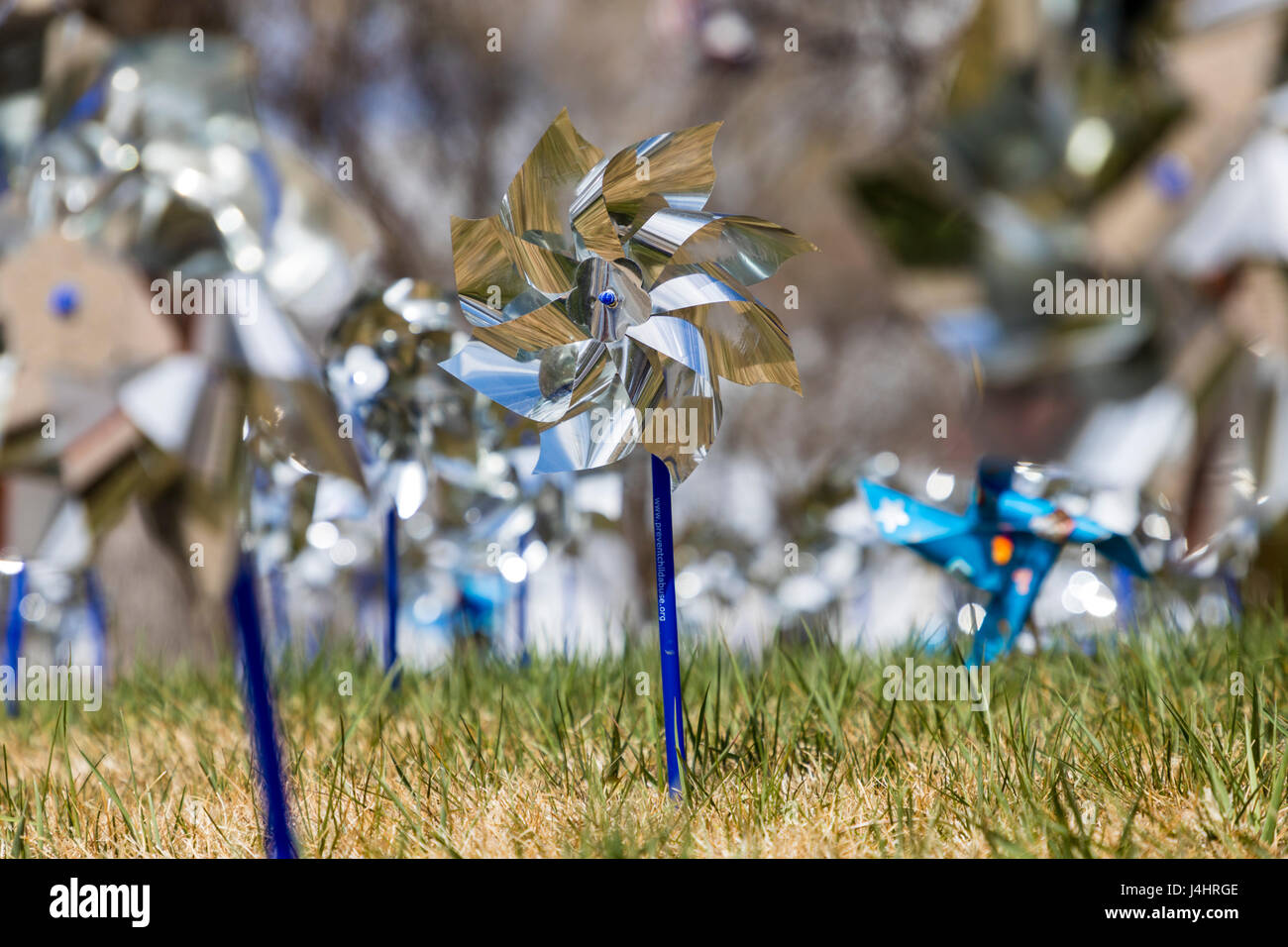 Pinwheels for Prevention, symbols for Prevention Against Child Abuse month, central Colorado, USA Stock Photo