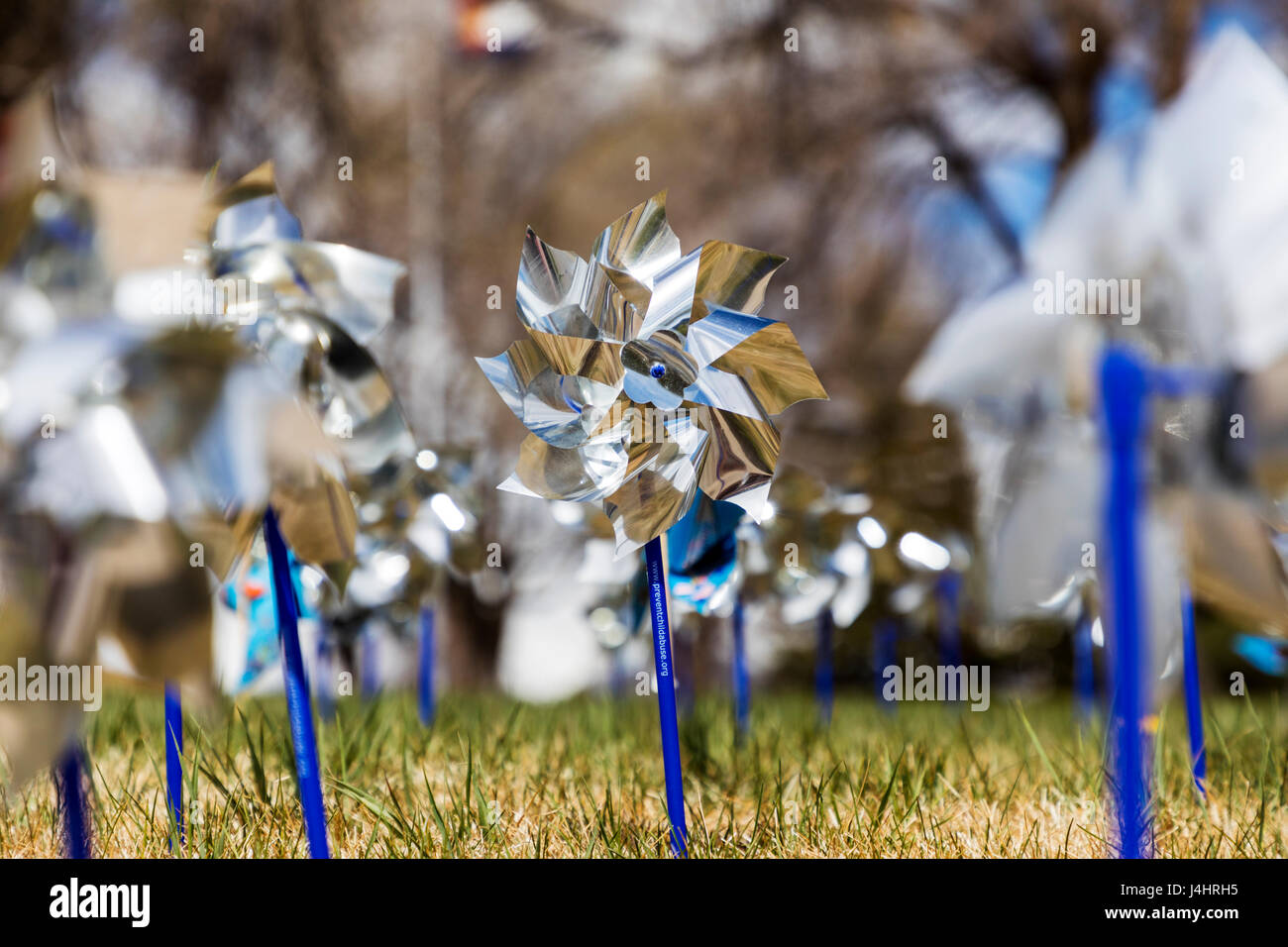 Pinwheels for Prevention, symbols for Prevention Against Child Abuse month, central Colorado, USA Stock Photo