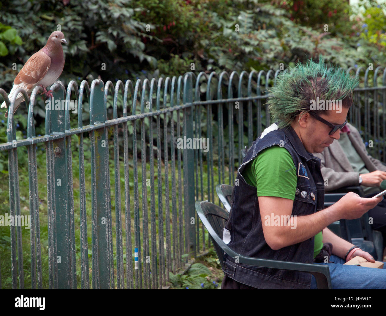 A pigeon watches over a man with green hair in Pavilion Gardens, Brighton Stock Photo