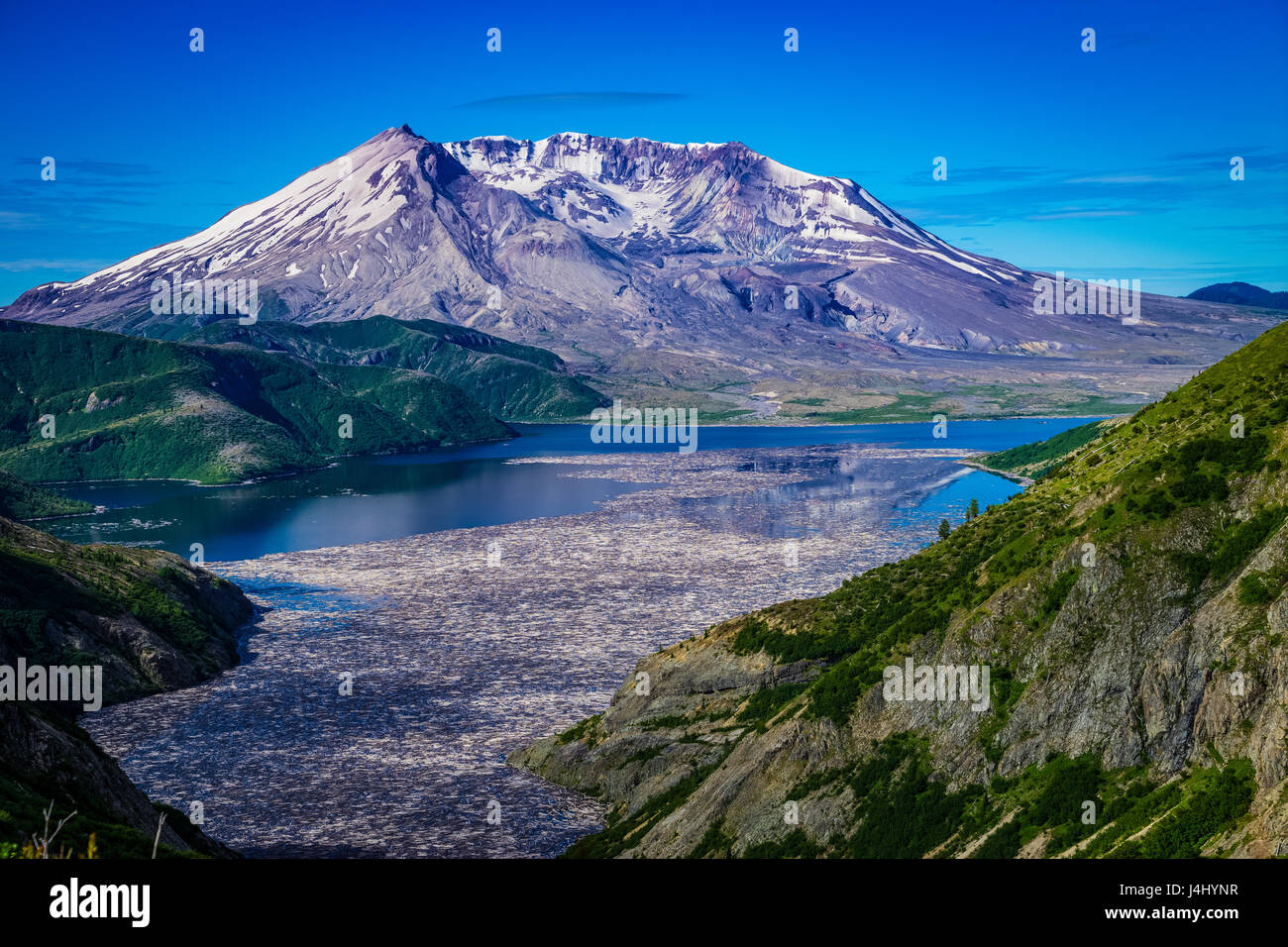 Spirit Lake and floating logs on the north side of Mount Saint Helens