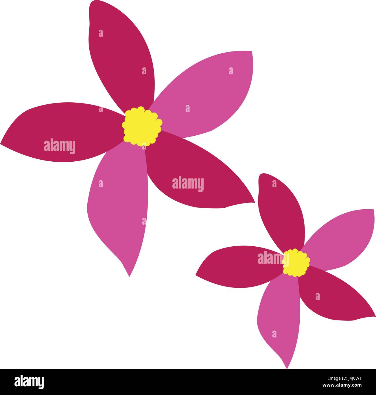 Isolated colored flowers Stock Vector Image & Art - Alamy