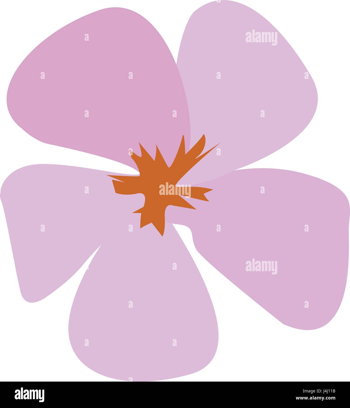Isolated colored flower Stock Vector Image & Art - Alamy