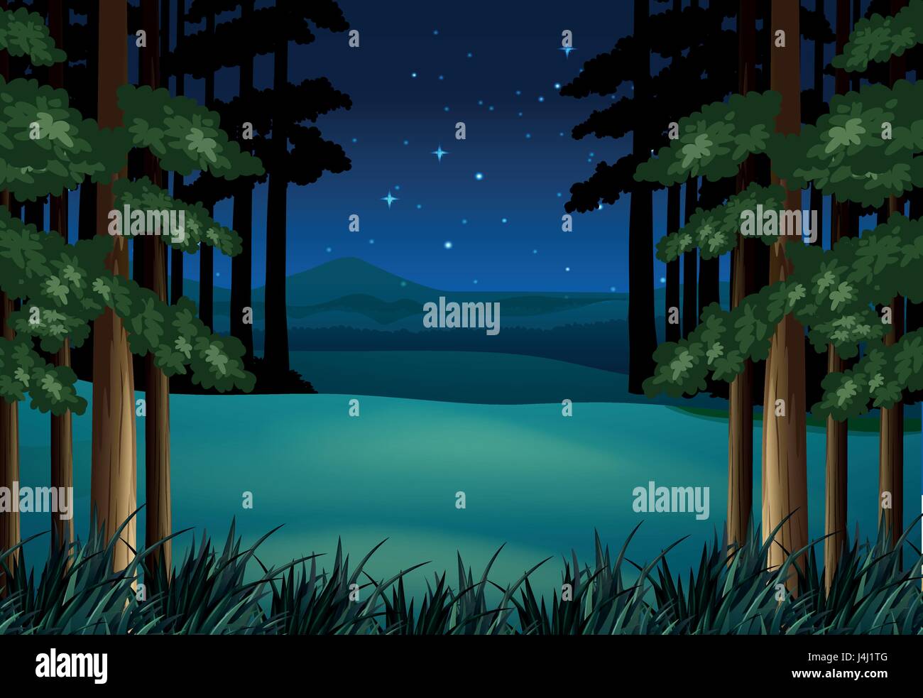 Forest scene at night with stars illustration Stock Vector Image & Art ...