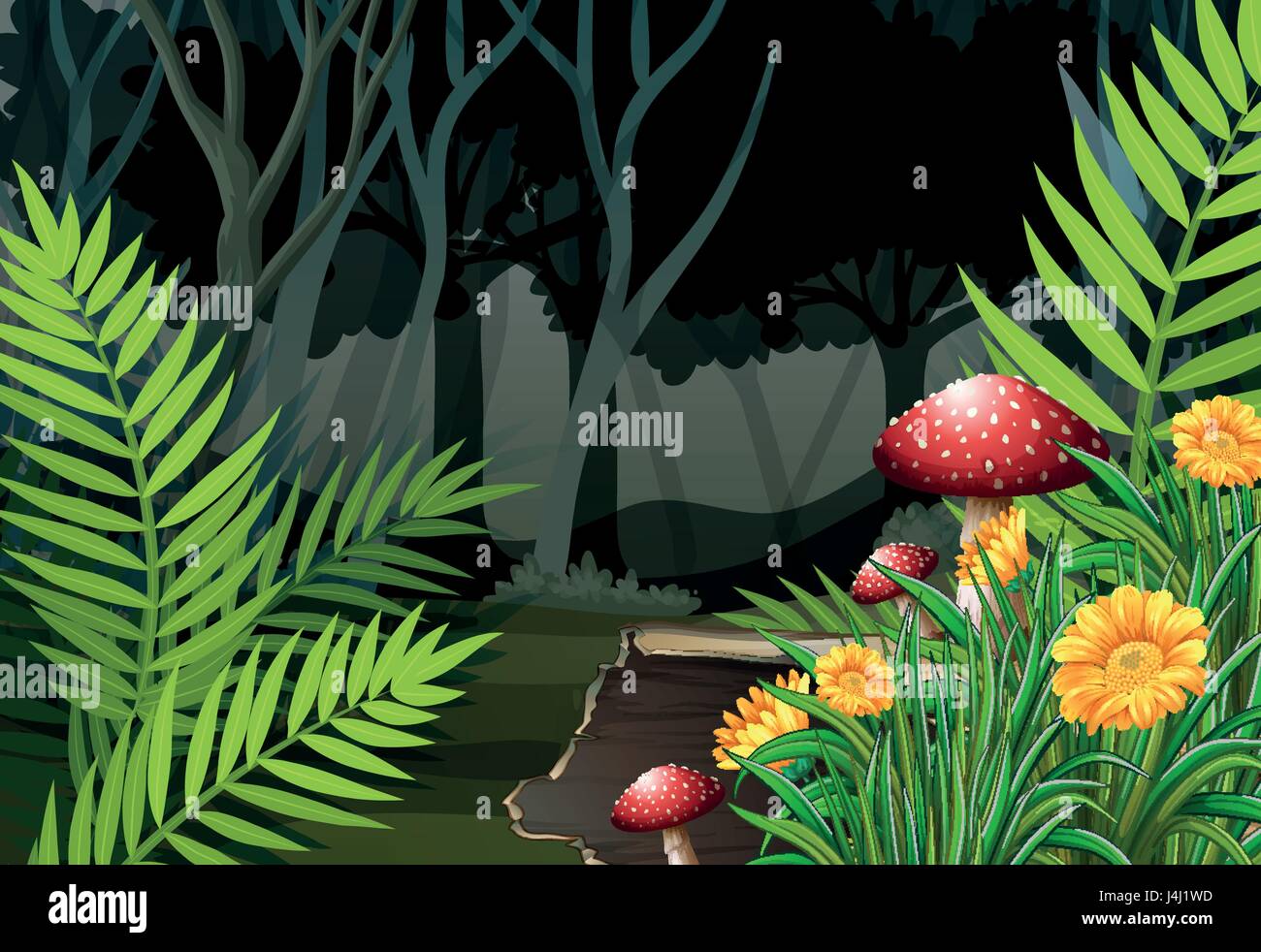 Night time in the forest illustration Stock Vector Image & Art - Alamy