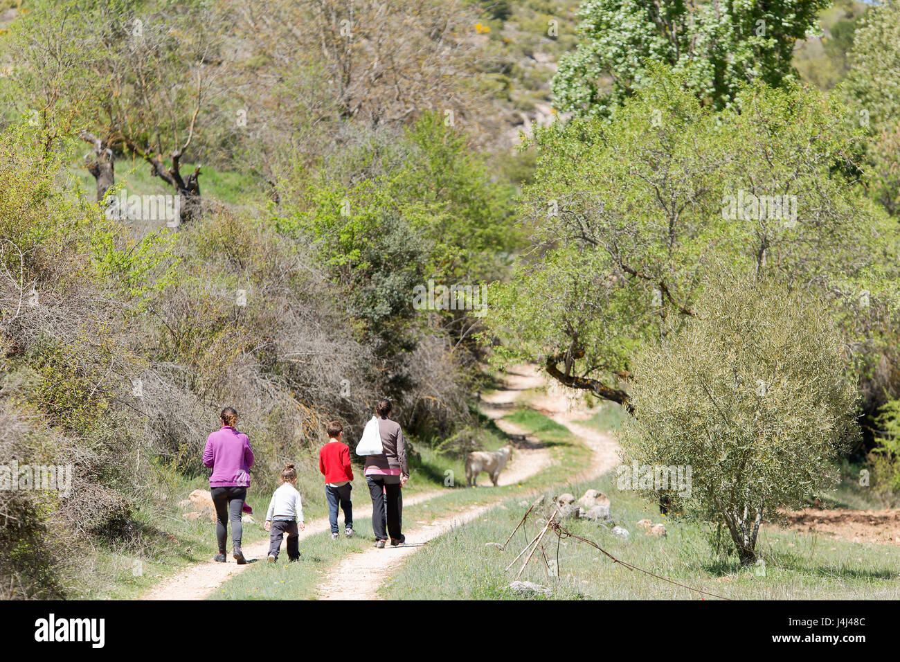 Family hiking in Cañadas de Haches de Arriba, Bogarra province of Albacete in Spain. Stock Photo