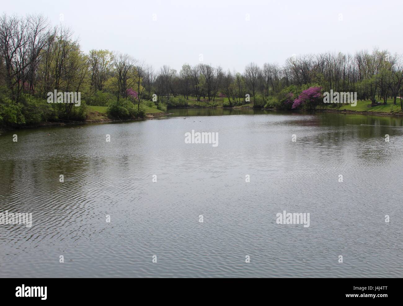 The sunny spring day at the park on the trails and by the lake. Stock Photo
