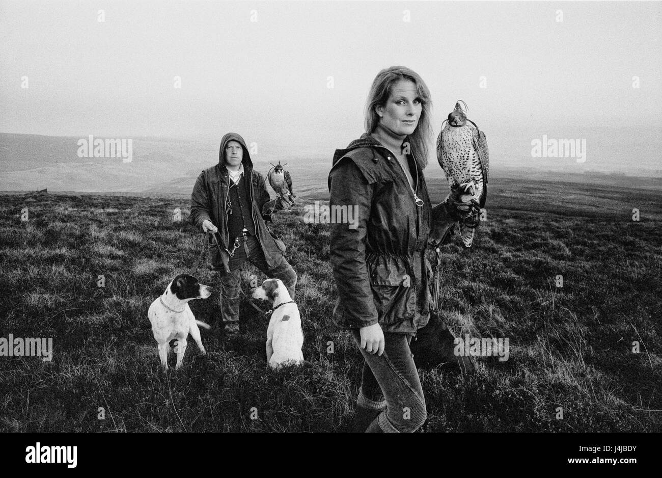 Falconers Steve and Emma Ford posing with their falcons and hunting dogs on the moors in Gleneagles, Scotland. Derek Hudson / Alamy Stock Photo Stock Photo