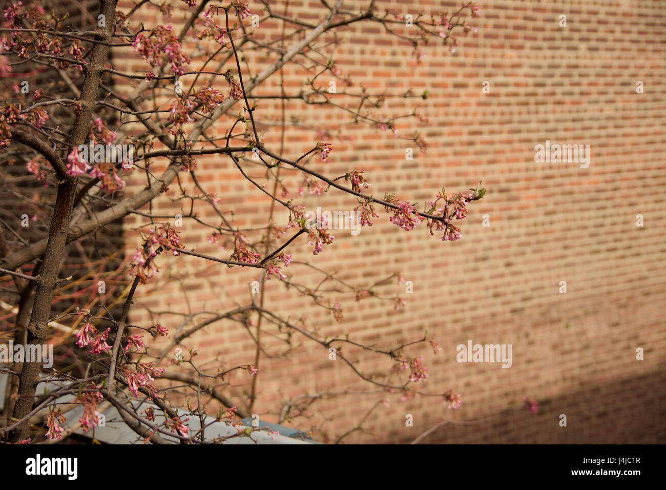 Uk Spring Sign Hi Res Stock Photography And Images Alamy