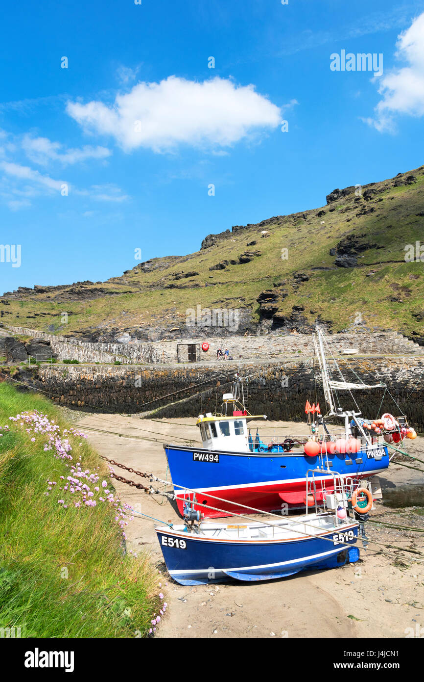 fishing boats at low tide in the harbour at boscastle, cornwall, england, britain, uk Stock Photo