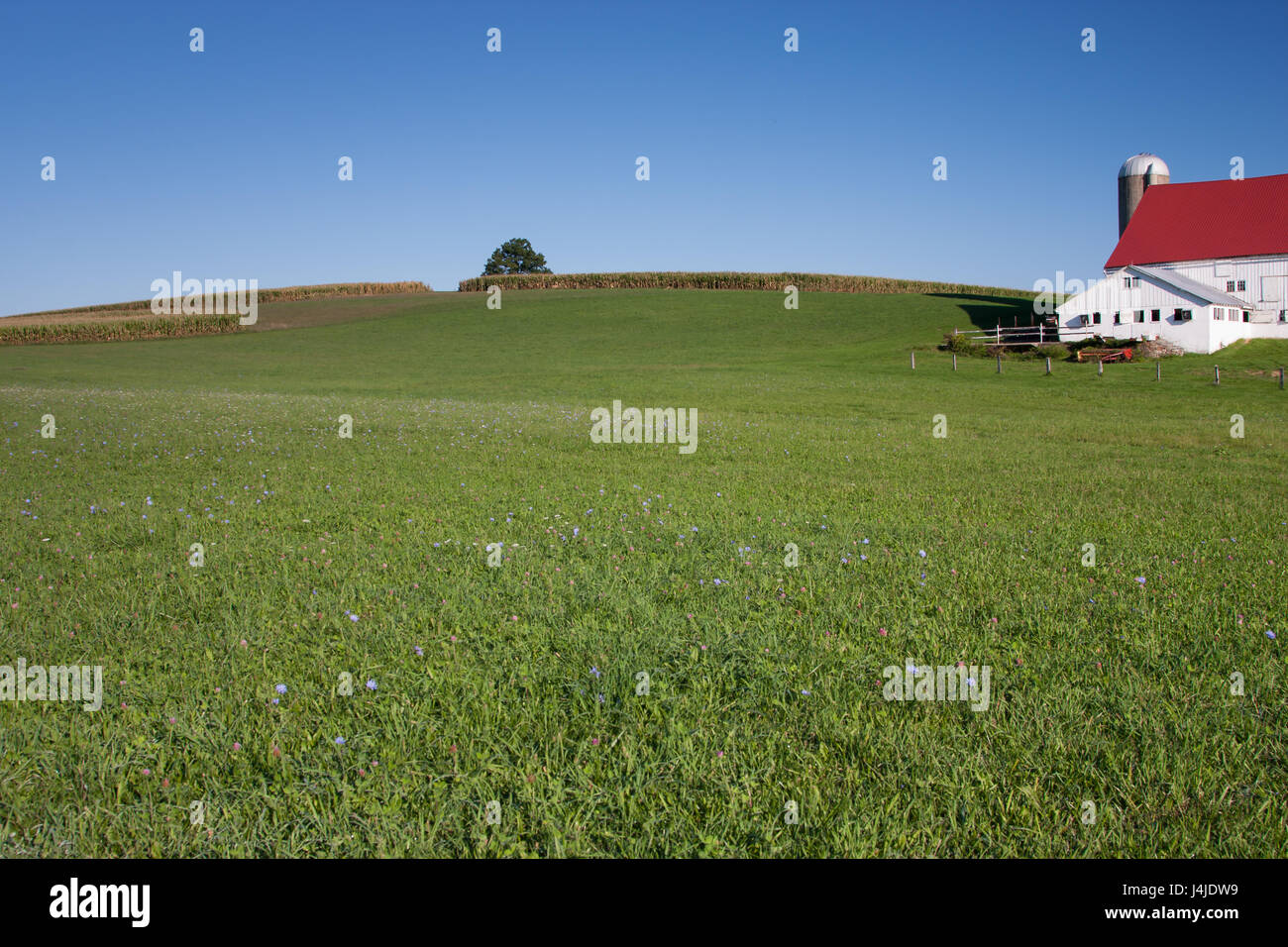 Red barns with green roof hires stock photography and images Alamy