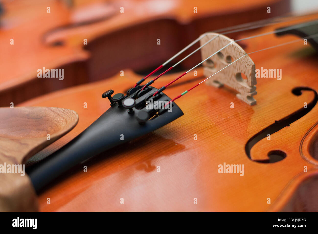 Close up violin bridge Stock Photo Alamy