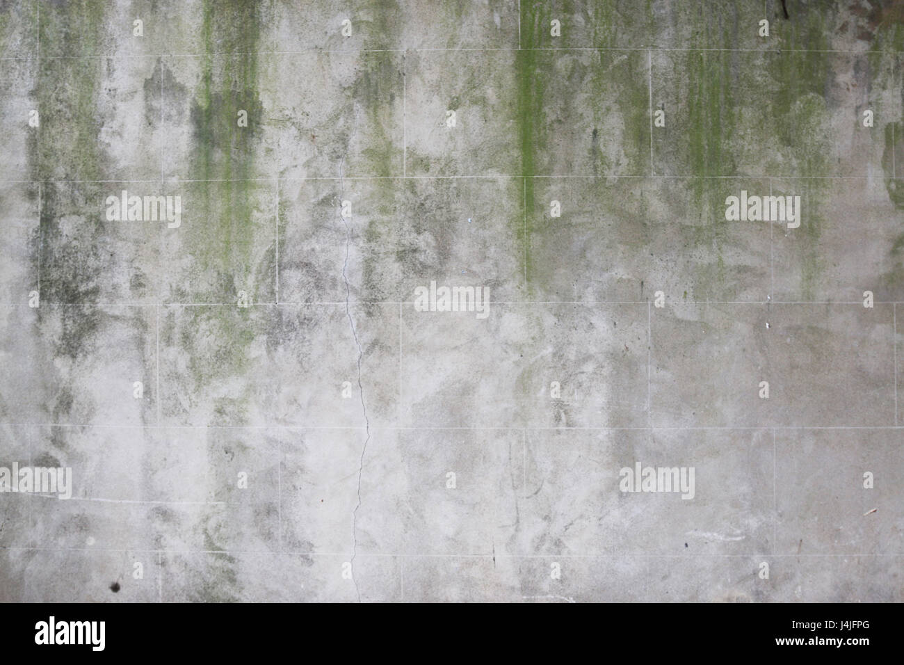 wall with green drip marks and leaves Stock Photo Alamy