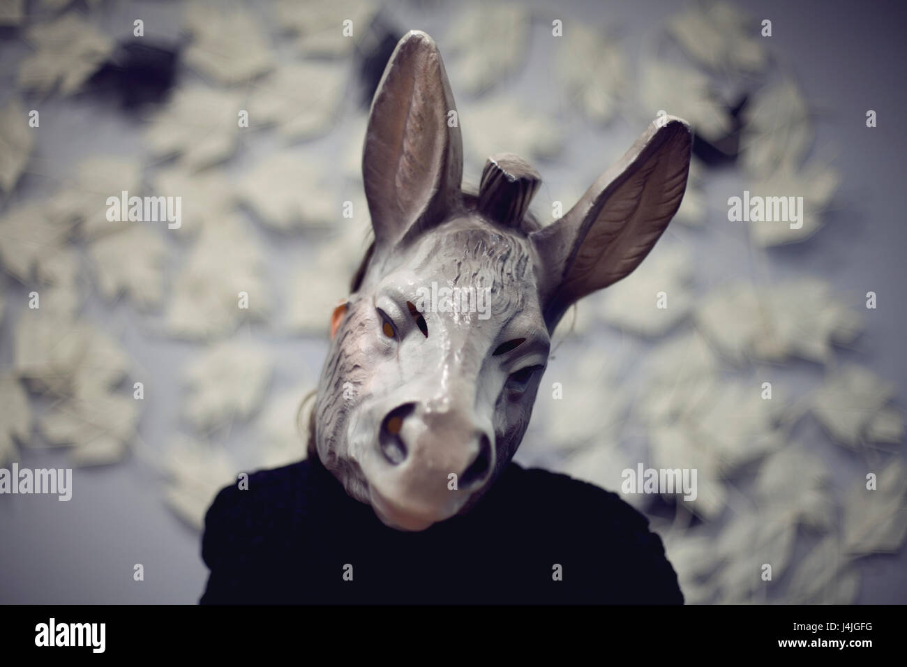 Donkey Mask Colour In A woman wearing a donkey mask doing a selfie Blured color photography ...