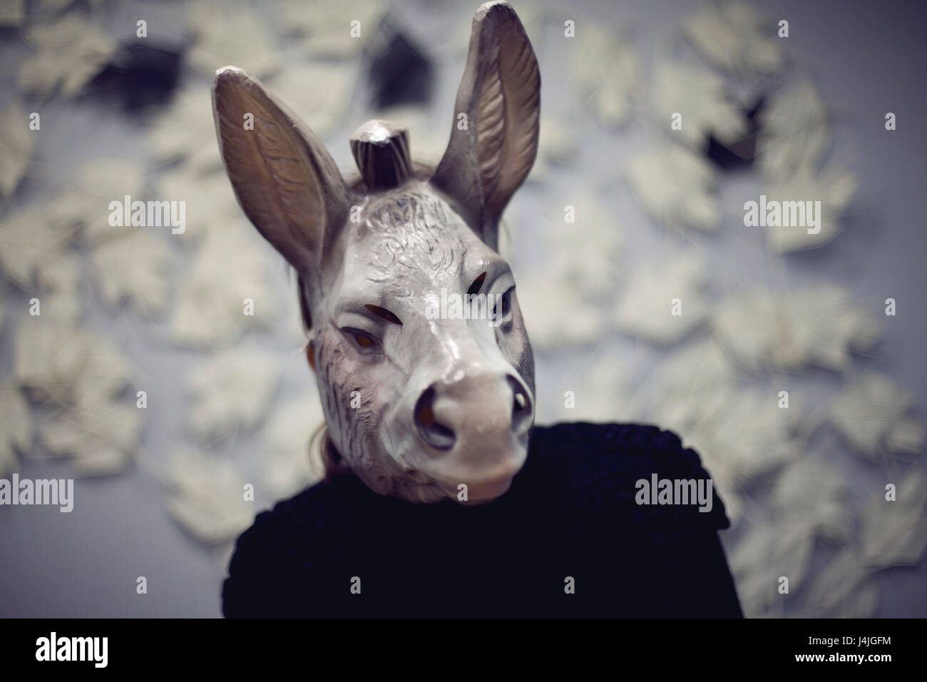 Donkey Mask Colour In A woman wearing a donkey mask doing a selfie Blured color photography ...
