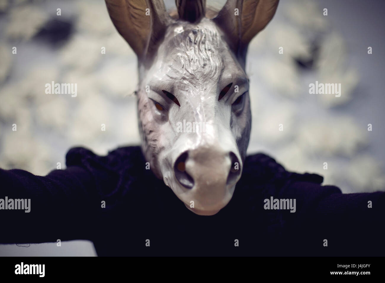 Donkey Mask Colour In Antinomic hi-res stock photography and images - Alamy