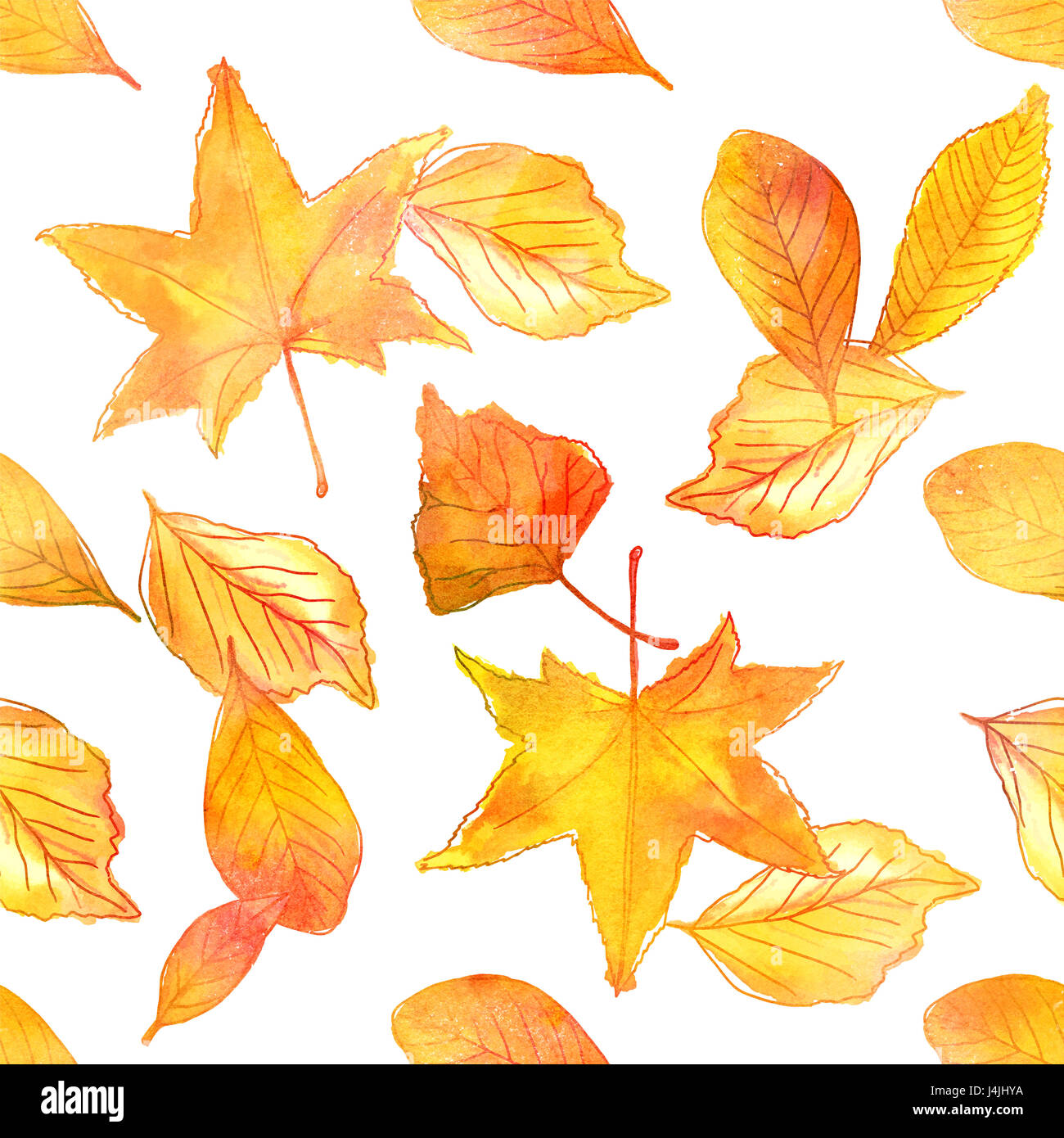 A seamless pattern of watercolor leaves on white background. Autumnal ...