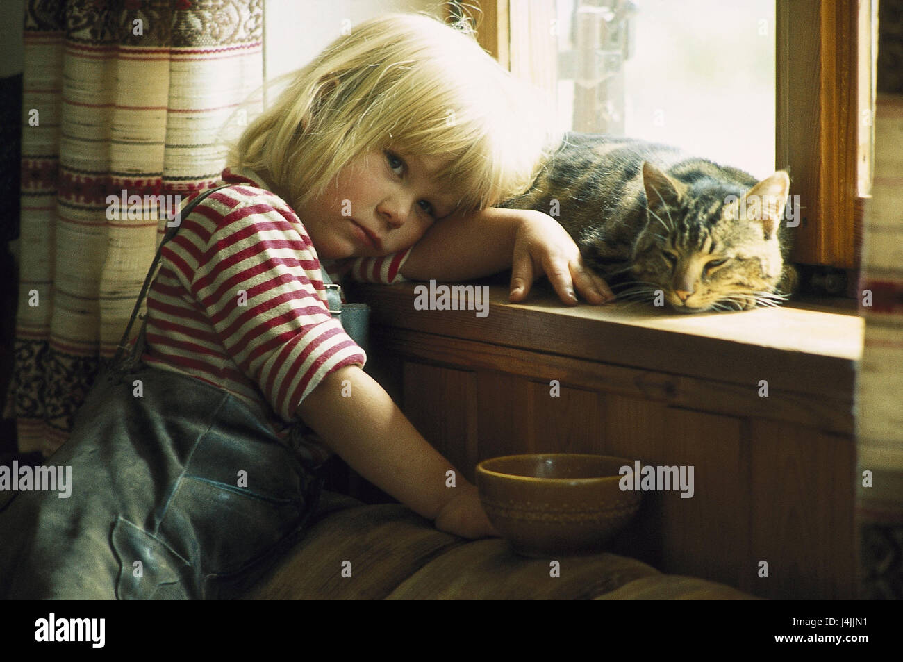 Cuisine, detail, girl, sadly, windowsill, cat child, infant, childhood, unhappily, sadness, only, lonely, loneliness, need love and affection, animal, animals, pet, pets, house cat, friendship, tuning, depresses, negatively Stock Photo