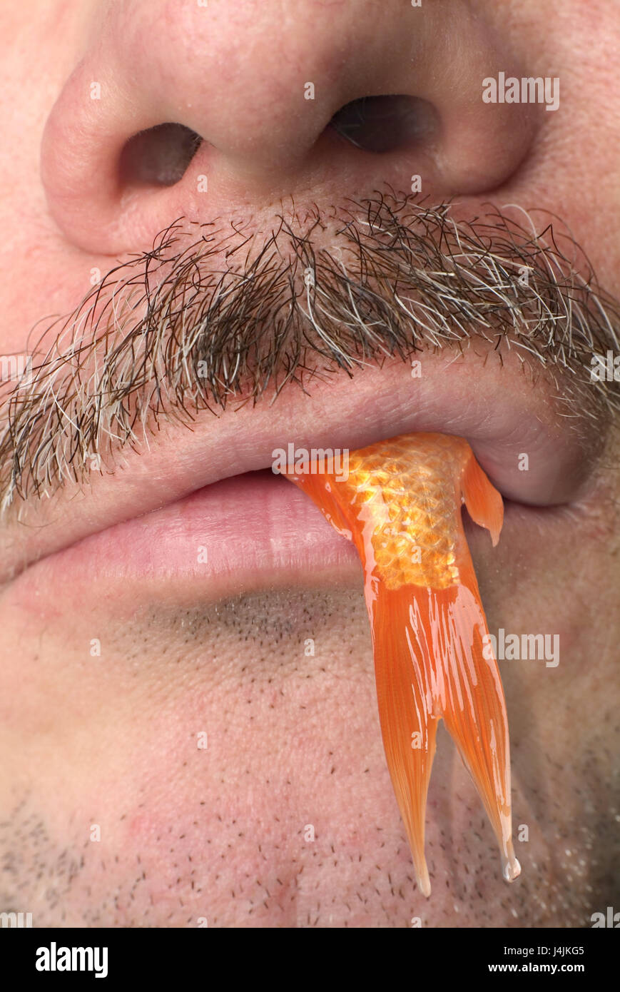 Man, mouth, goldfish, close up look, lips, beard, moustache, walrus
