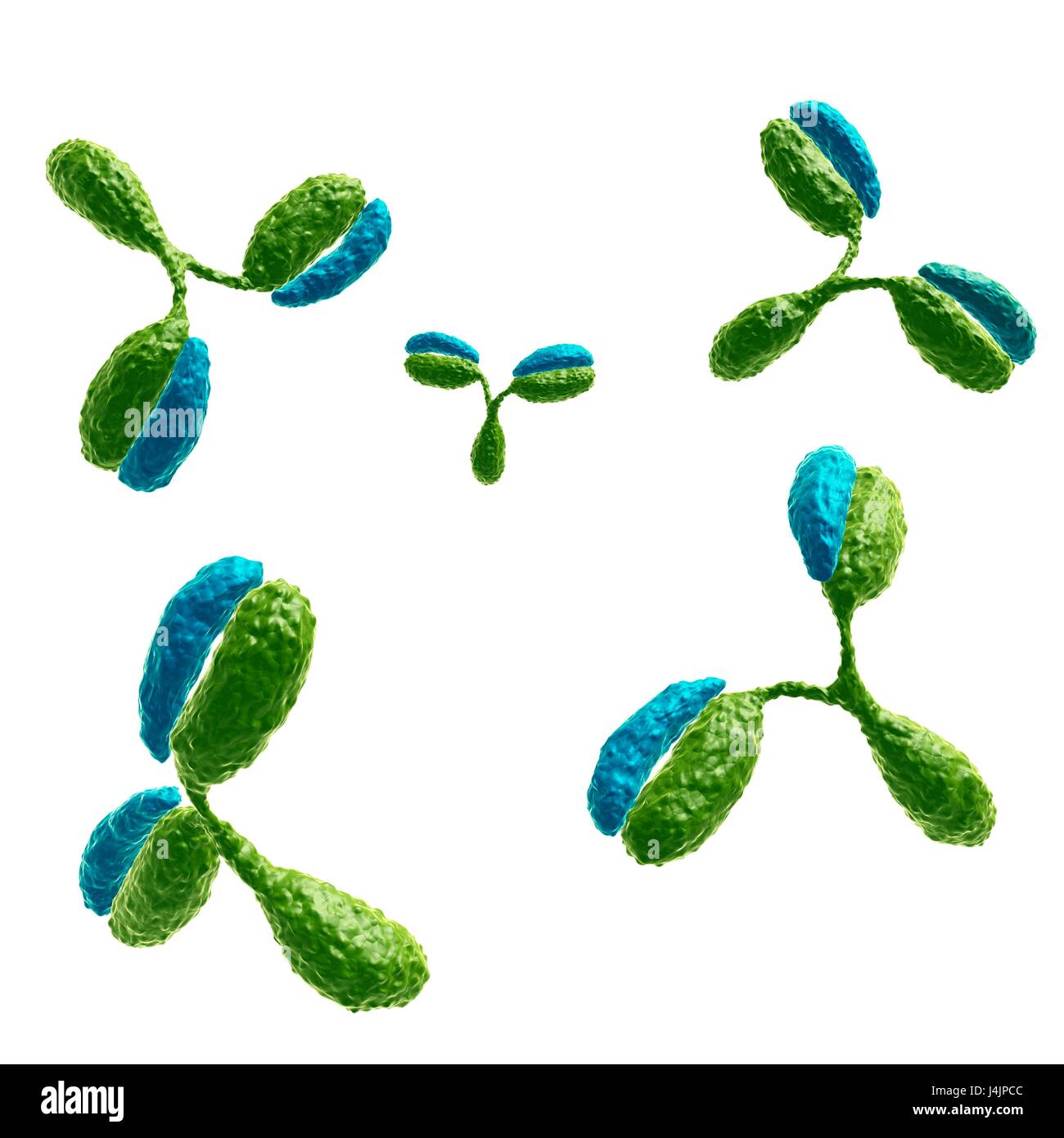Illustration of antibodies Stock Photo - Alamy