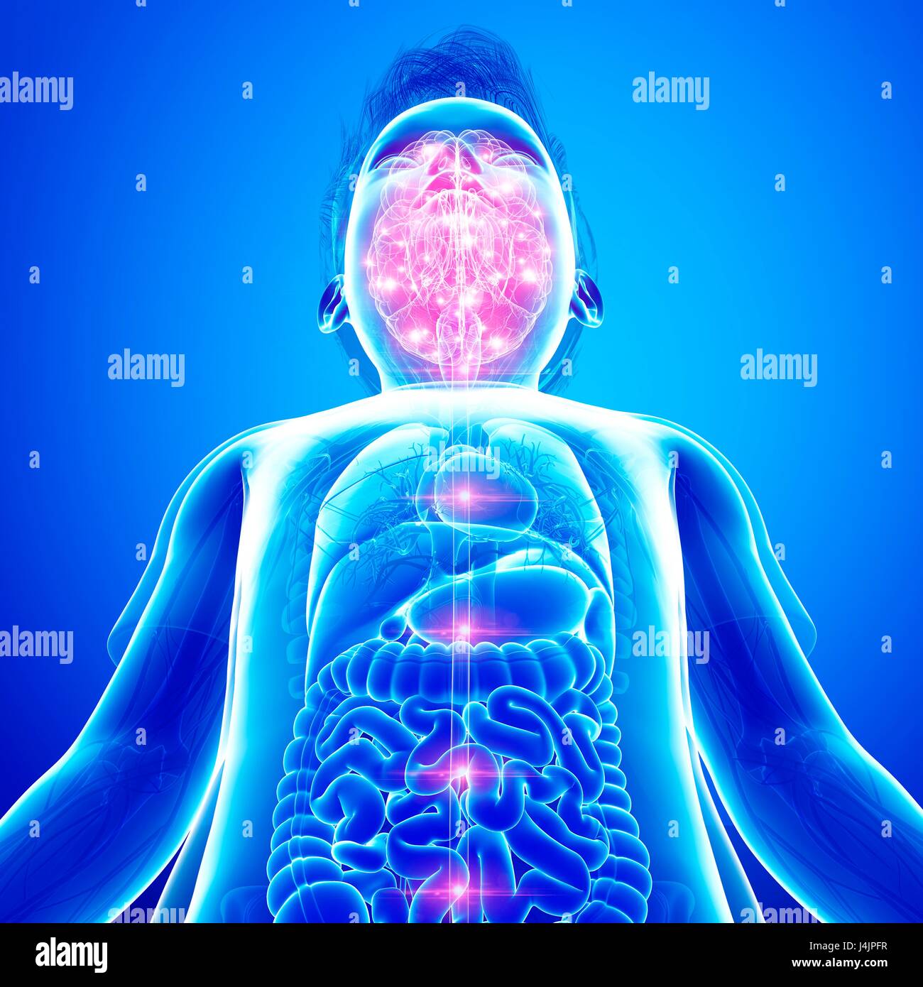 Illustration of human brain activity. Stock Photo