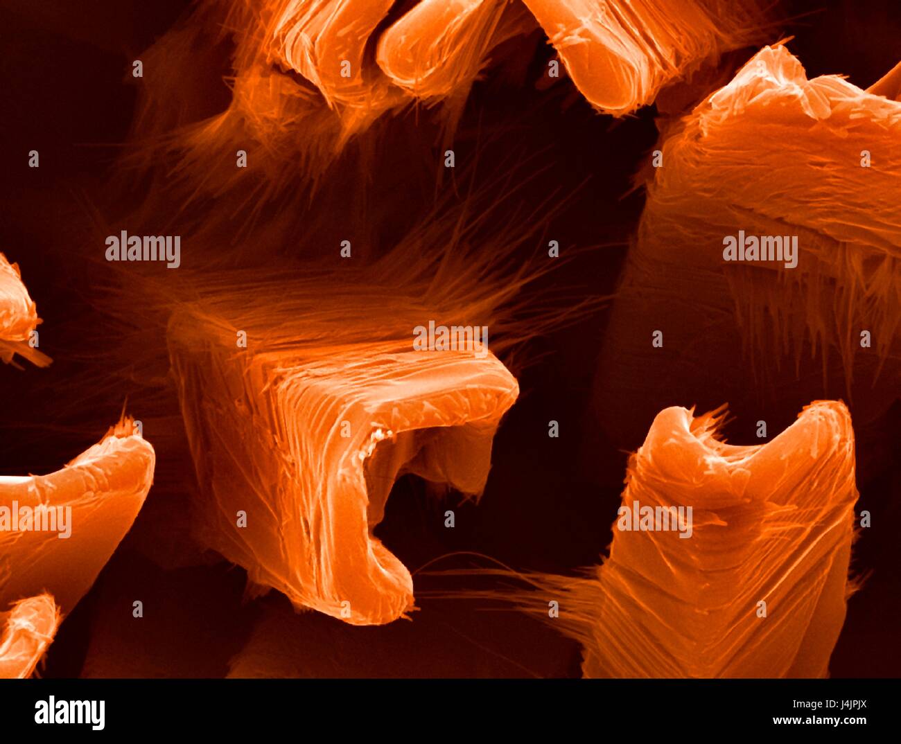 Nanowires on vanadium oxide hires stock photography and images Alamy