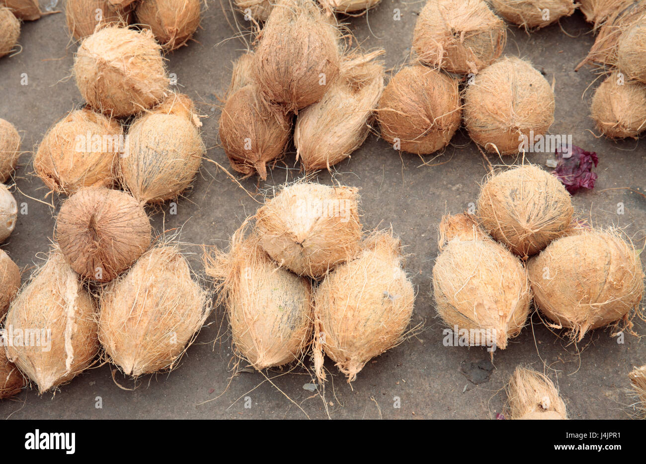 African coconuts hires stock photography and images Alamy