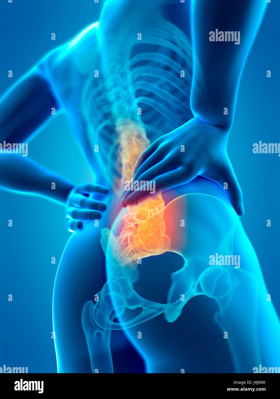 Human spine and back pain, illustration. Stock Photo