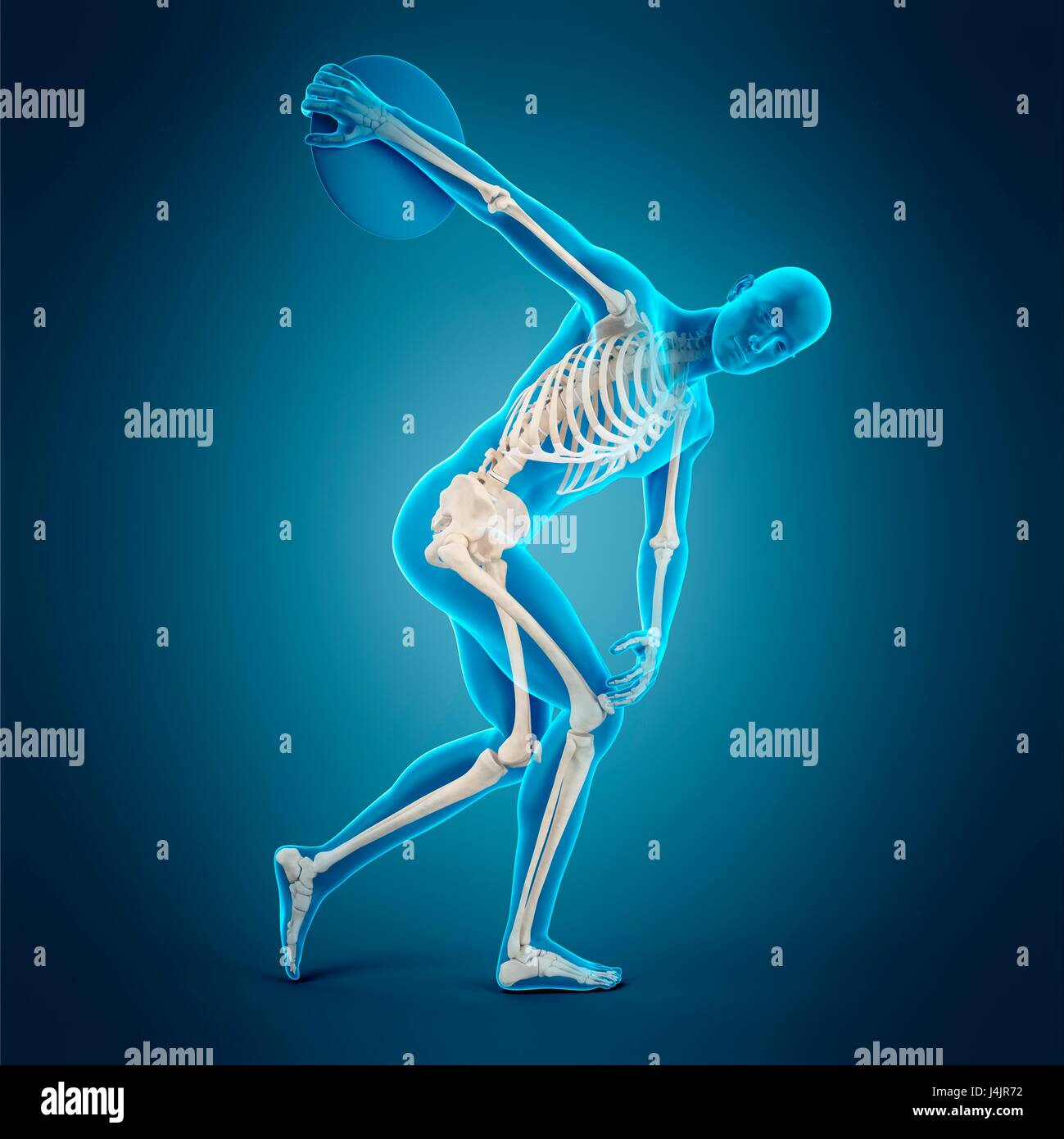 Skeletal structure of athlete throwing discus, illustration Stock Photo ...