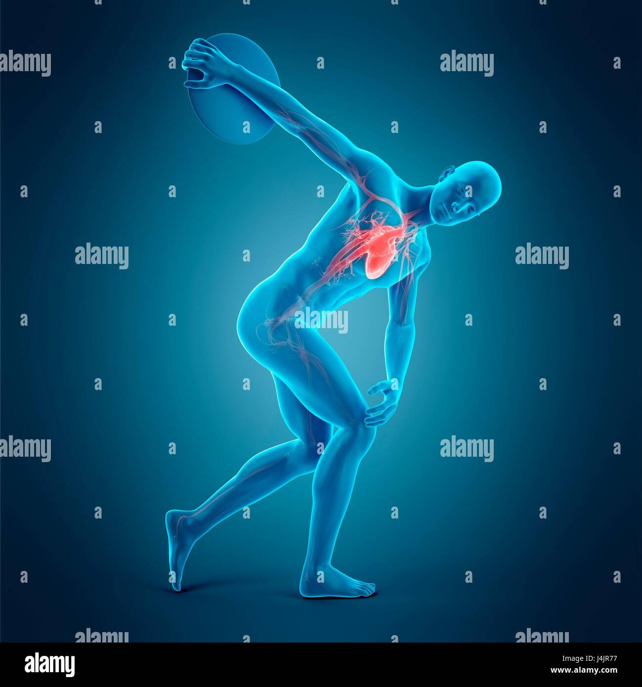 Human Discus Human internal organ athlete hi-res stock photography and images - Alamy