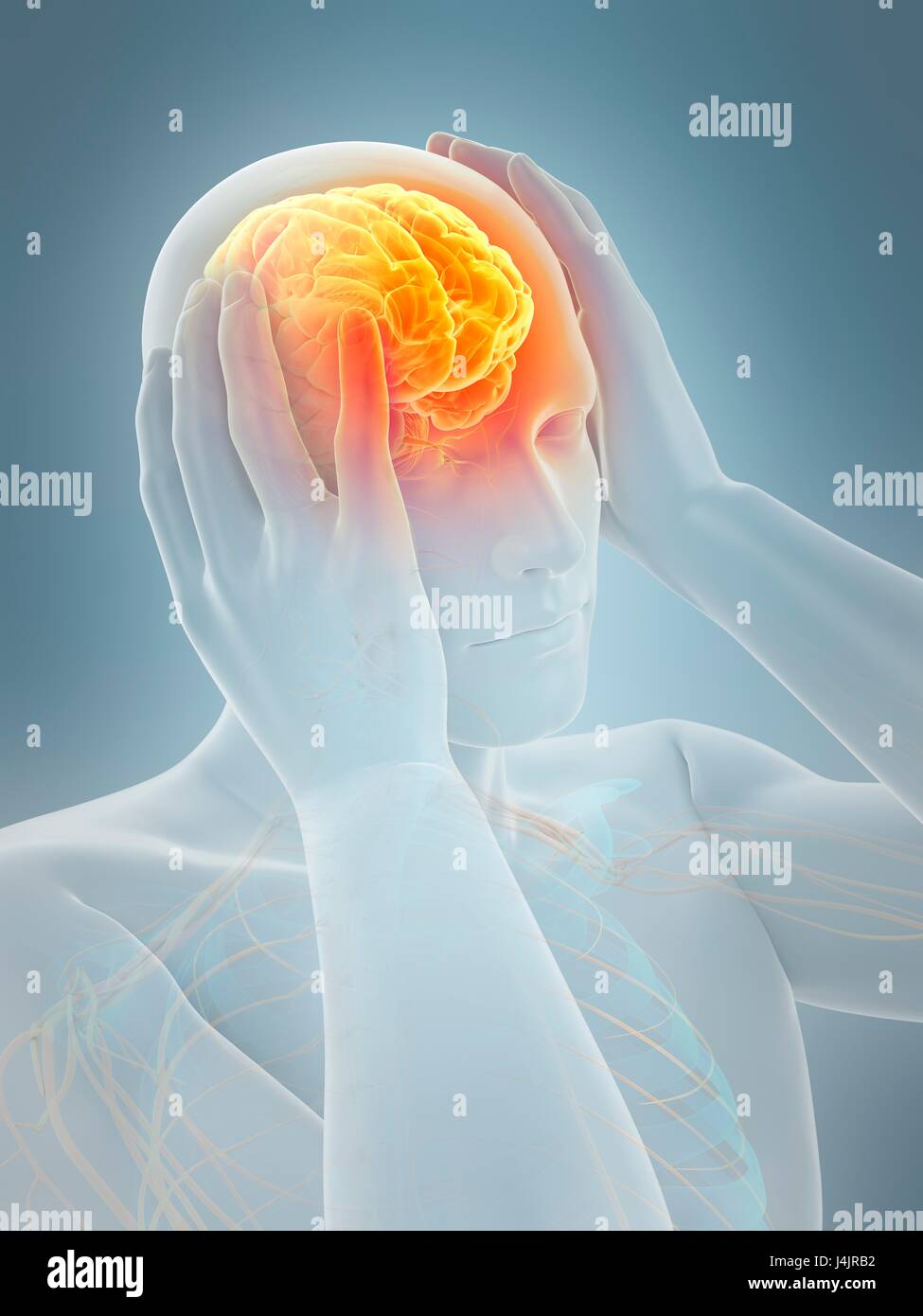 Anatomy of person with headache, illustration Stock Photo - Alamy
