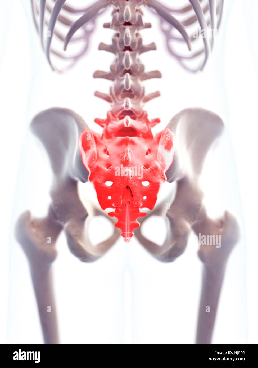 Human sacrum pain, illustration. Stock Photo