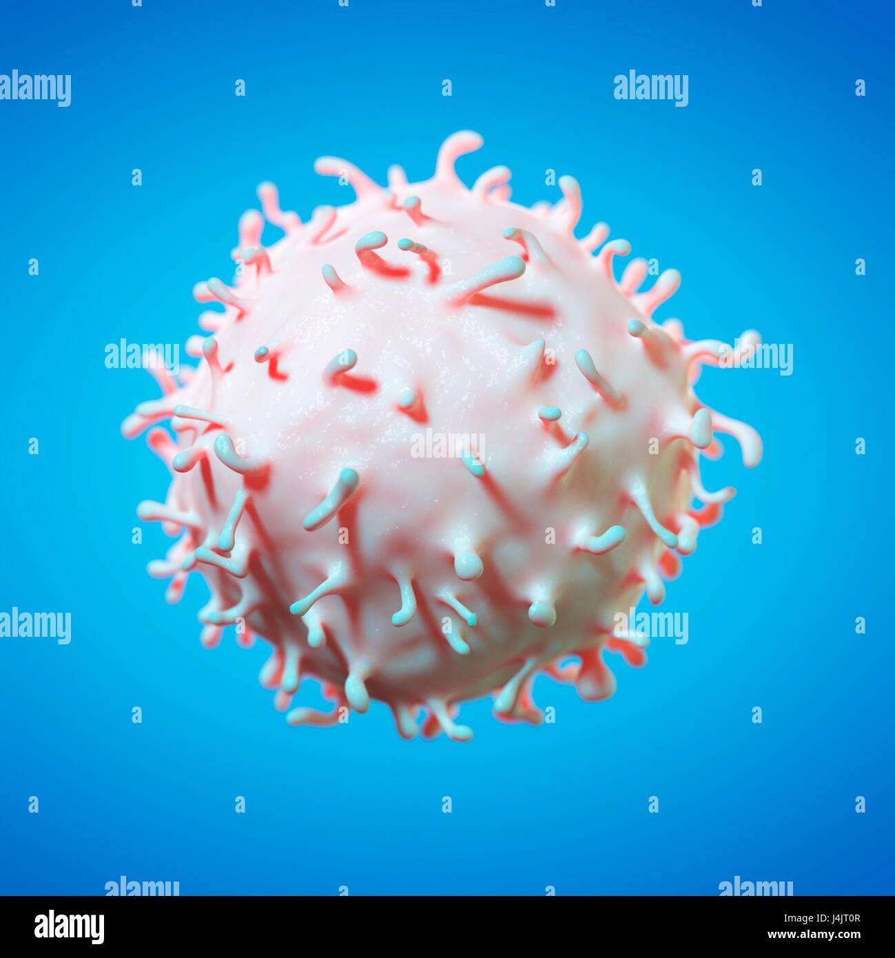 Stem cell, illustration Stock Photo - Alamy
