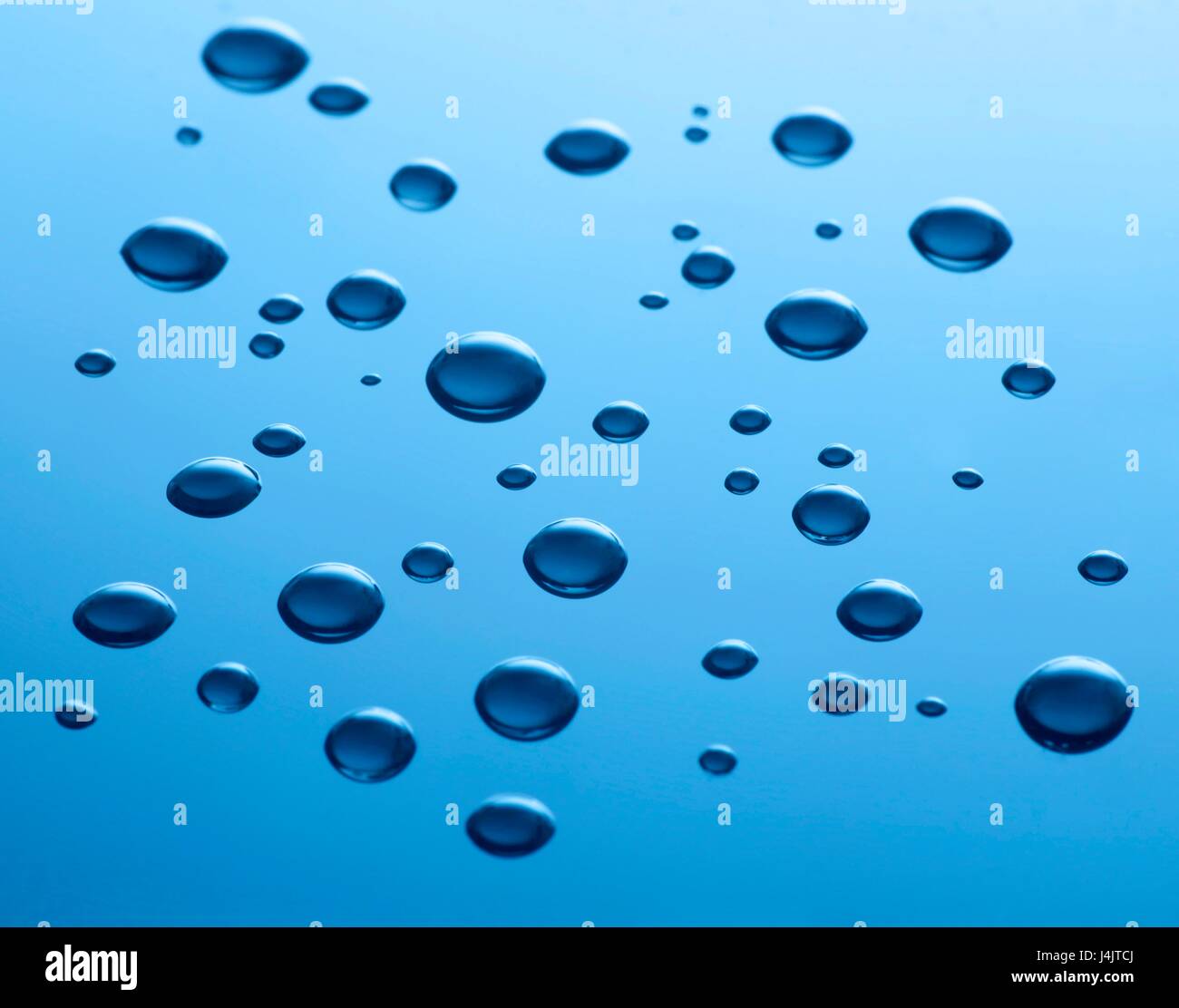 Water droplets, studio shot. Stock Photo